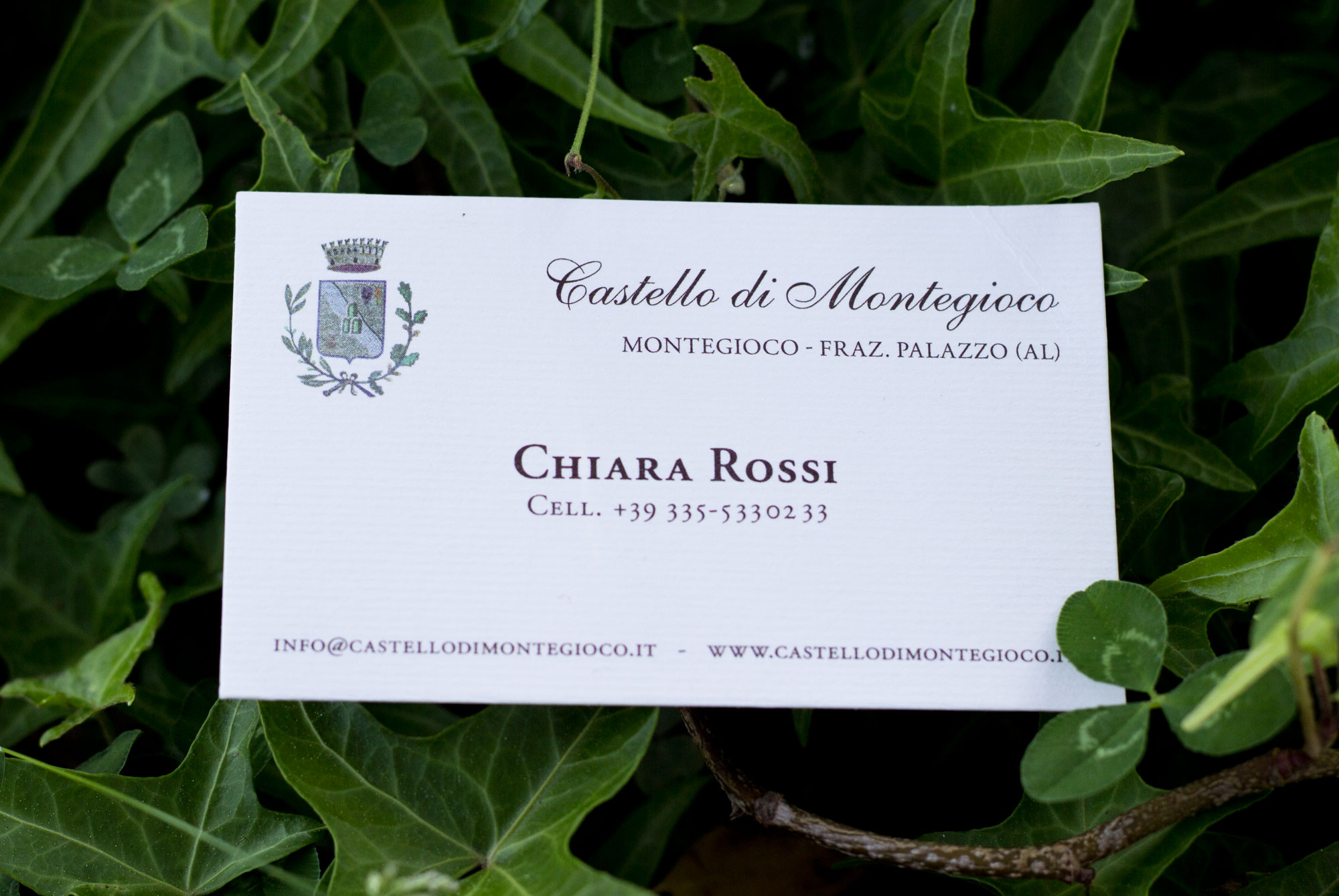 Montegioco - MAMBO adv